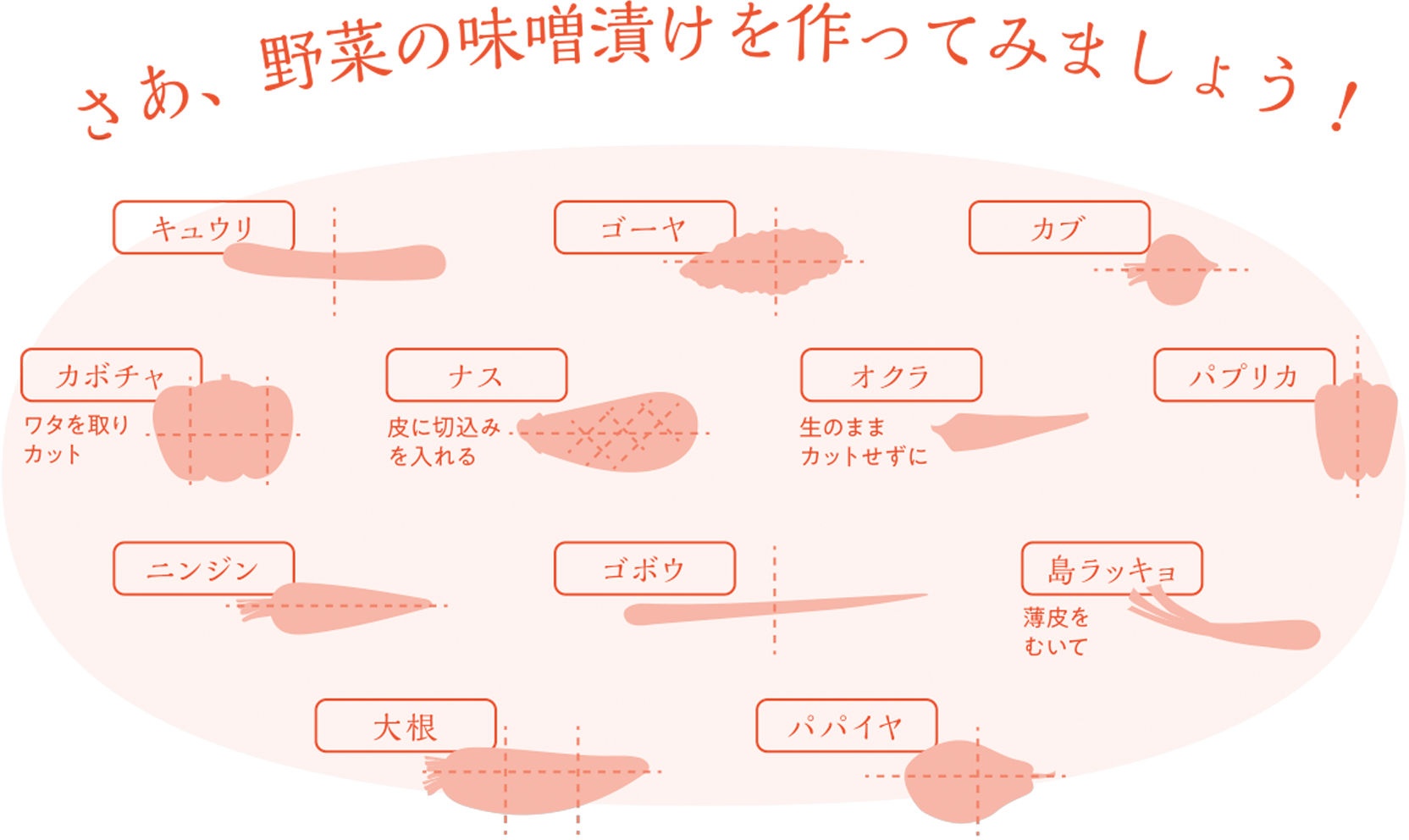 MISODOKO野菜の漬け方イラスト